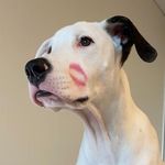 Penelope Allen Klein - @dont_forget_about_penelope - Instagram