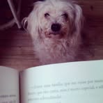 Penelope Knapp - Facebook