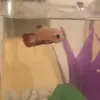 Penelope..Knapp 🐠 - @penelope...knapp - TikTok