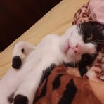Penelope Knowles - Facebook
