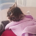Penelope La Marsa - @penelopelamarsa - Instagram