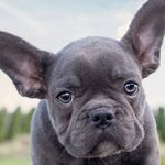 Penelope Lawson - @penelopelawson52 - Instagram