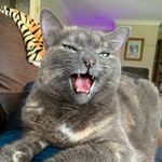 Penelope Lawson - @penpon007 - Instagram