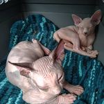 Anna - @penelope_and_lilly - Instagram