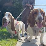 Clementine Penelope & Isla Lilly Duong - @clementineincalifornia - Instagram