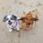 Lilly & Penelope - @lilly_and_penelope - Instagram