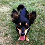 Penelope & Lilly - @penelope.lilly_2 - Instagram