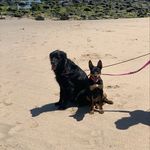 Penelope & Lilly - @penelope.lilly.winnie - Instagram