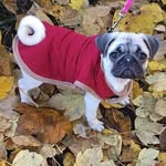 Penelope - @penelope.lowther - Instagram