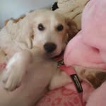 Penelope Lowry - @penelope_lowry - Instagram