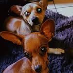 Luke & Penélope - @luke.penelope - Instagram