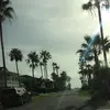 Penelope ✈️ - @penelope.lynch86 - TikTok