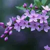 penelopelynch961 - @penelopelynch961 - TikTok