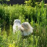 Penelope Lyons - @penelopelyons - Instagram
