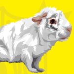 Penelope Mack Portwood ✨🌻💕 - @guineapig_penelope - Instagram