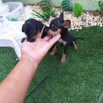 @penelope.marshmallow - Instagram