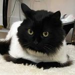 Penelope aka “Penels” - @penelope_marshmellow - Instagram