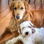 Mason and Penelope - @mason_and_penelope - Instagram