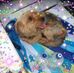 Penelope Mason - Facebook