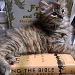 Penelope Mayo - @penelope.blair.7 - Instagram