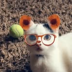 Penny Mcnulty - Facebook