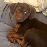 Penelope millar - @hello_penelope15 - Instagram