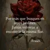 Miranda_penelope - @miranda_penelope - TikTok