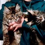 @mr._moody_bruce_and_penelope - Instagram