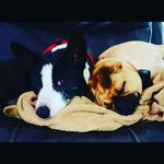 Penelope - @princess.penelope.priss.moody - Instagram