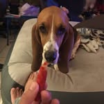Penelope Von Moody - @penelopevonmoody - Instagram