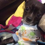 Penny Mullen - @penelopedee1 - Instagram