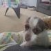 Penelope Nicholas - Facebook