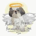 🐾Penelope Grinch O'Neill🐾 - @nelltzu - Instagram