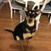 Penelope Parrott - Facebook
