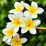 Penelope P Peters - @penelope.peters.739 - Instagram