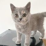 Penelope Peters 🐈 - @instapennypee - Instagram