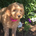 Penelope Peterson - @penelope_peterson - Instagram