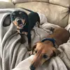 Penelope&Piper - @penelopeandpiper - TikTok