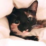 Penelope - @peneloperay - Instagram