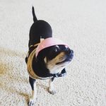 @peneloperay_ - Instagram