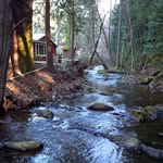Penelope Robinson - @rosemountain7 - Instagram