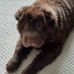 Penelope Robinson - Facebook