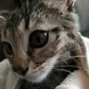 Bsnsnsh Vsbsnznz - @peneloperousea - TikTok