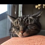 Ryder Penelope - @ryder_penelope - Instagram