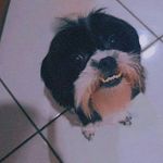 Penélope Silva - @penel_opesilva - Instagram