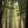 penelopesilva - @penelopesilva93 - TikTok