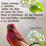 gabriela - @penelopesolis64 - Instagram