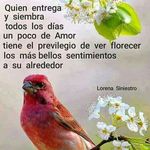 penelopesolis - @penelopesolis6 - Instagram