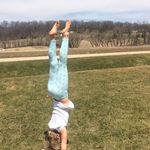 Penelope Stahl - @penelope.gymnast8 - Instagram