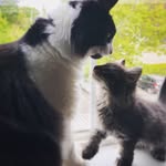 Penelope & Todd 🐾 - @theadventuresofpennyandtodd - Instagram
